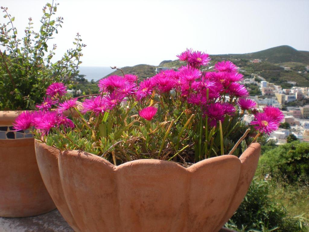 Villa Pina Ponza Exterior foto